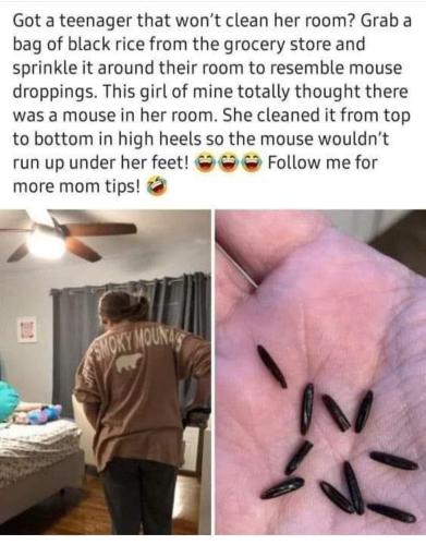 FB_IMG_1706307288661