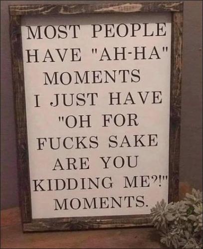 are you kidding me moments