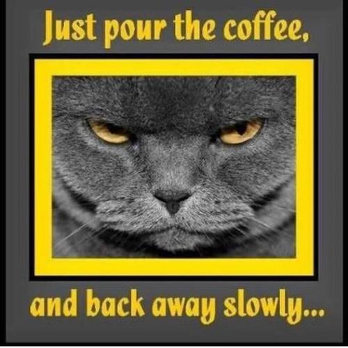 418478866_1027133595052127_1010892082583054931_n