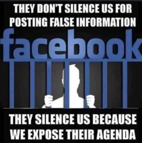 FB_IMG_1706550781215