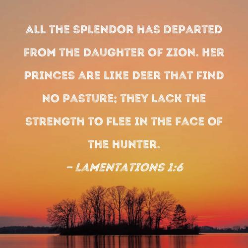 Lamentations 1_6
