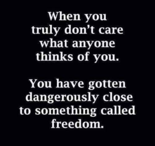 IMG_20240124_184027_045