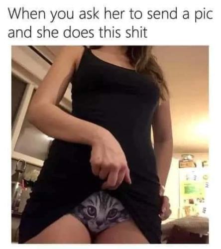 pussy