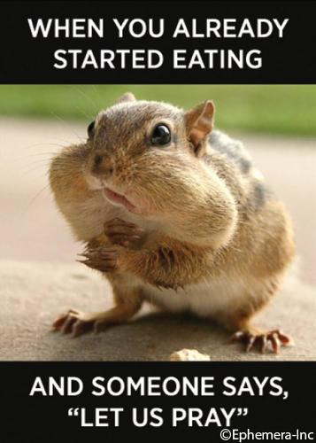 61AY5AqpUmL._AC_UF894,1000_QL80_