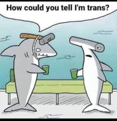 tell I am