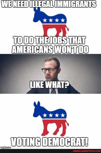 2233c776ea5b2625901c42ee7288a138a9df3c2fd29a6edc303d3c3cbbe32635_1