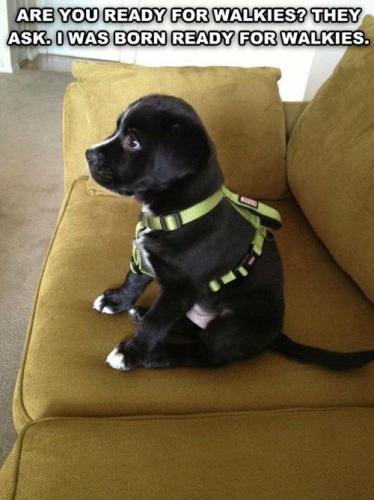 306b194a66323f589ea69c0501621359