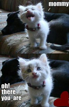 7c1ca3173717d2faaf495910cd8d5fa6