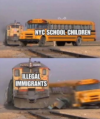 illegal immigration373