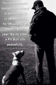 3e8560c4409b89fcde4870f67546998d