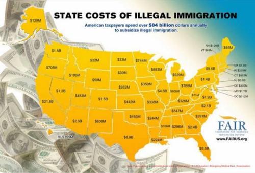 illegal immigration375