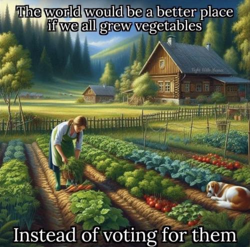 photo_2024-01-02_14-05-16