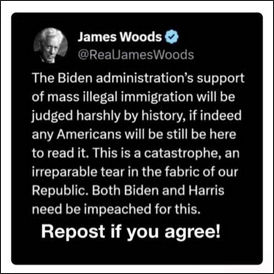 illegal immigration376