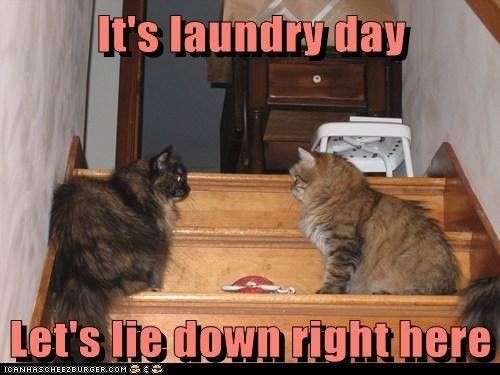 65f748598501750cb93b513e4ebc9617