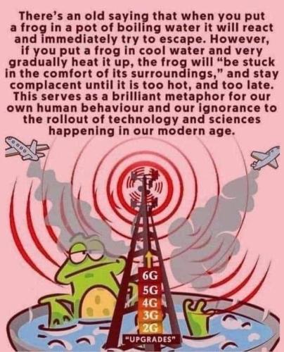 IMG_20240111_070903_573