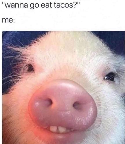 FB_IMG_1706648884978