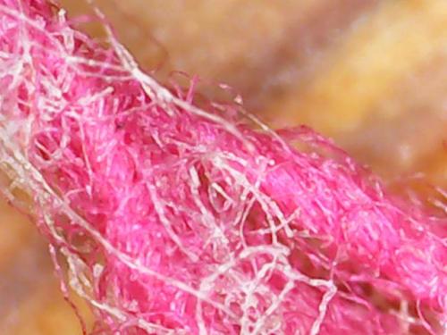 Snapshot_20240101_33