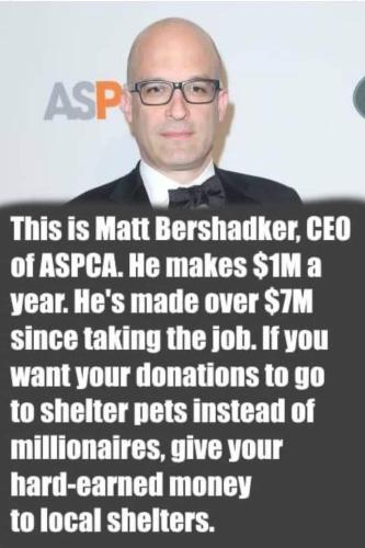 FB_IMG_1706341346152