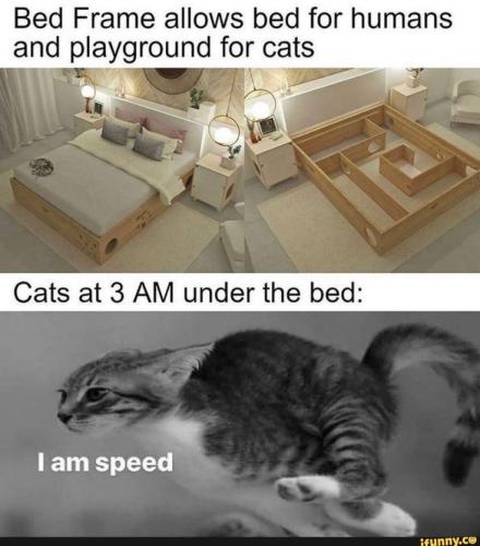 223aa9fc2614133418ae8a5f7ac51ec2