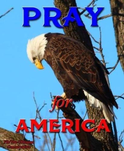 FB_IMG_1706241129616