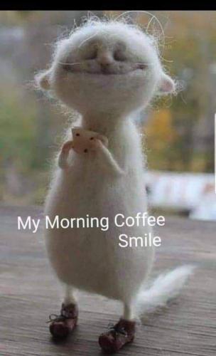 419907770_1027940578304762_8729697705148594109_n