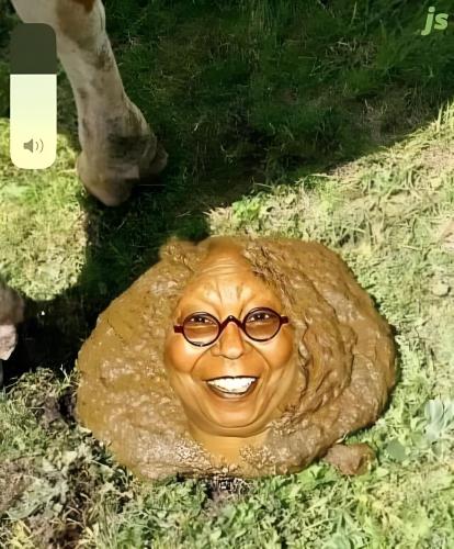 whoopi goldberg cow patty x