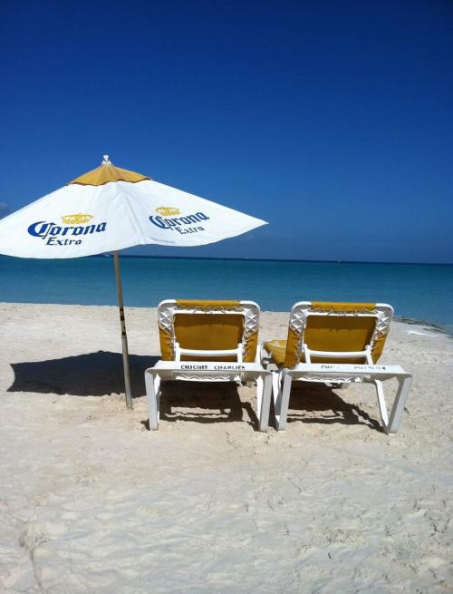 Screenshot_2023-11-20-06-39-37-34_a23b203fd3aafc6dcb84e438dda678b6