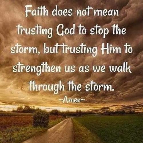 1737de9c-2779-4a03-9892-a99206351a92