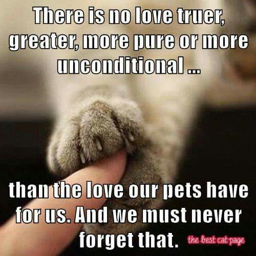 528f21d72173987782397566e1a746dc