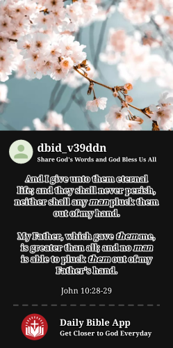 2024-01-281706489826540