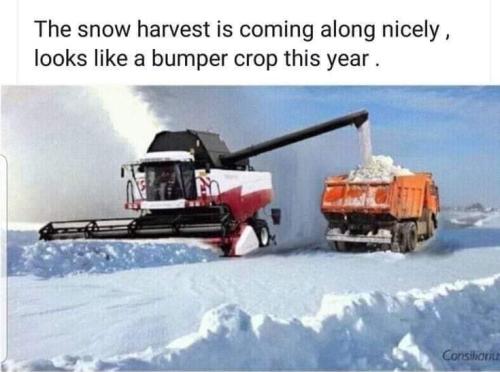 snow harvest