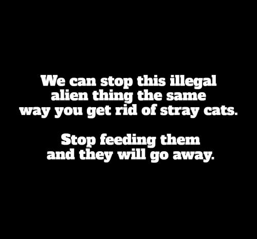How to stop the illegal alien invasion.
