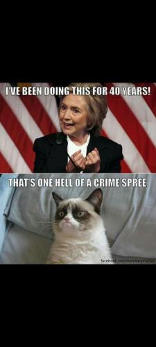 Screenshot_20230910-185208_Gallery