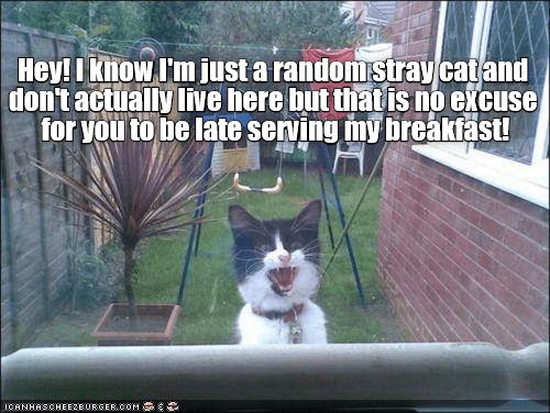 67f8d9a87665cf7d2b90d58a1cf3425a