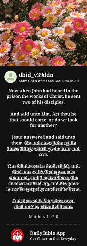 2024-01-181705559291701