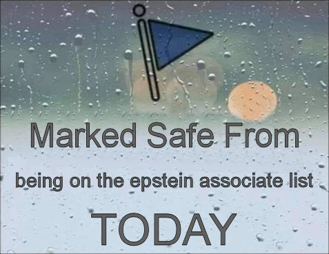 being on the epstein associate list