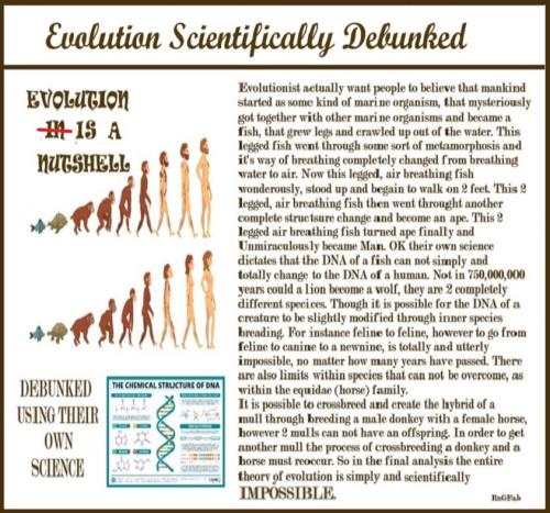 evolution debunked