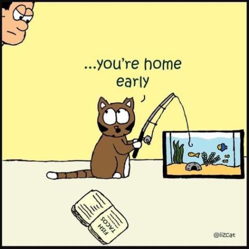 421517318_2056271184749579_6279504705003986009_n