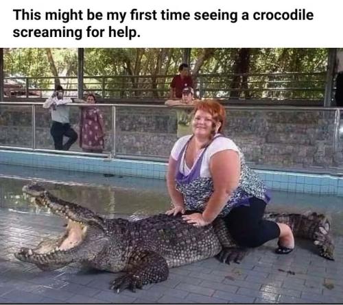 crocodile