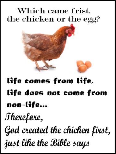 Chicken-and-egg-1320196284