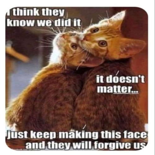 b04a674b28e0d050f1853b56e427c6c4