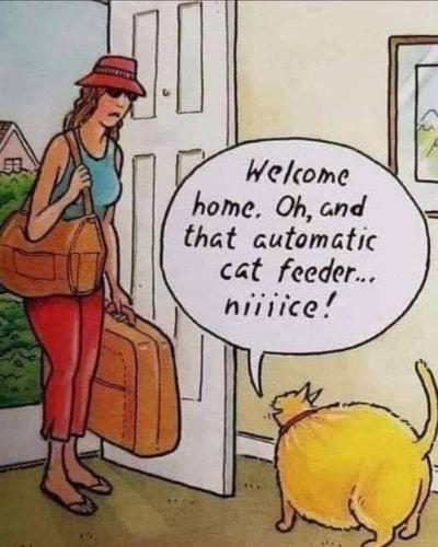 406452994_778435080988480_7434181954430499808_n