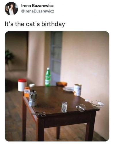 pawpussfully-arranged-v0-ksq5whj58wga1