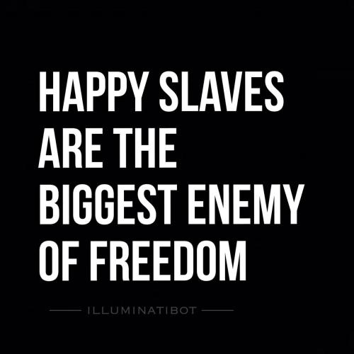 IMG_20240124_152543_957