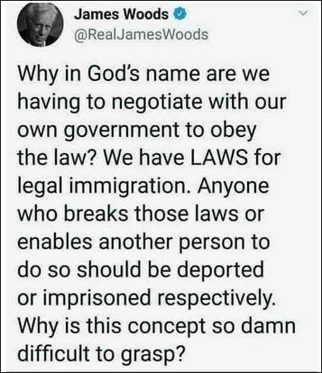 illegal immigration374