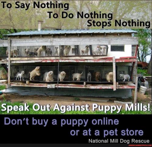 68004e0e7a1bebb799d75e70c02816a878e4eae76742067137756f5f84d6ddb0_1