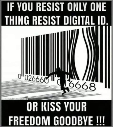 Screenshot_20240109-234833~2