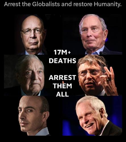 orca-image-2071954319