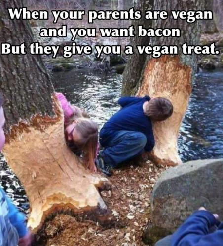 FB_IMG_1705067498600