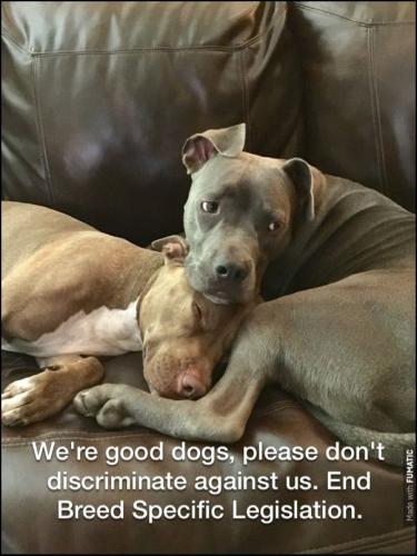 148223abc1544f9e9f8860580e171557